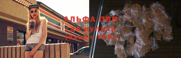 амф Алексин