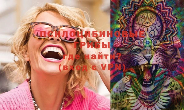 мяу мяу мука Абаза