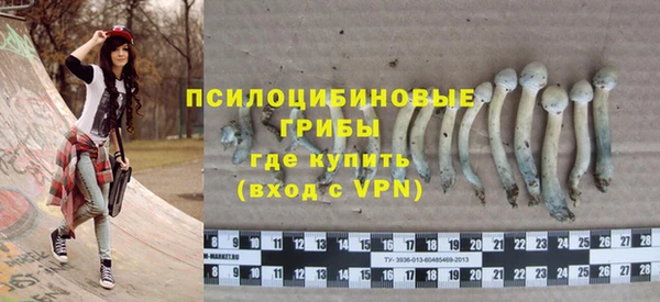 твердый Алексеевка