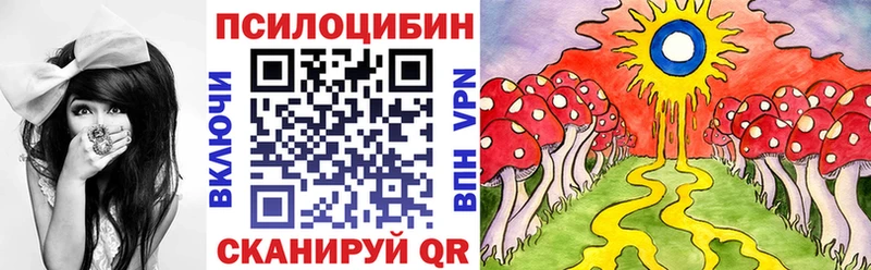 Псилоцибиновые грибы Cubensis  продажа наркотиков  Нефтегорск 